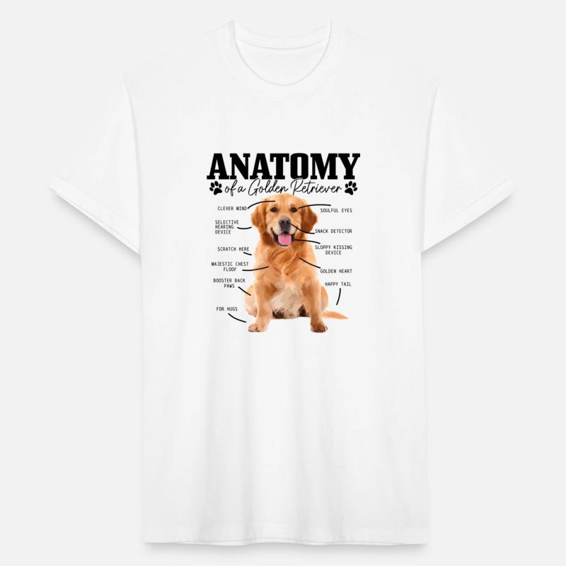 Anatomy Of A Golden Retriever Dog Mom Dad