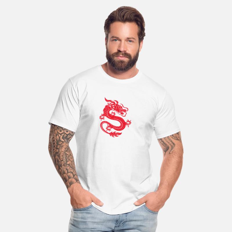 Chinese dragon wildlife vector image illustration