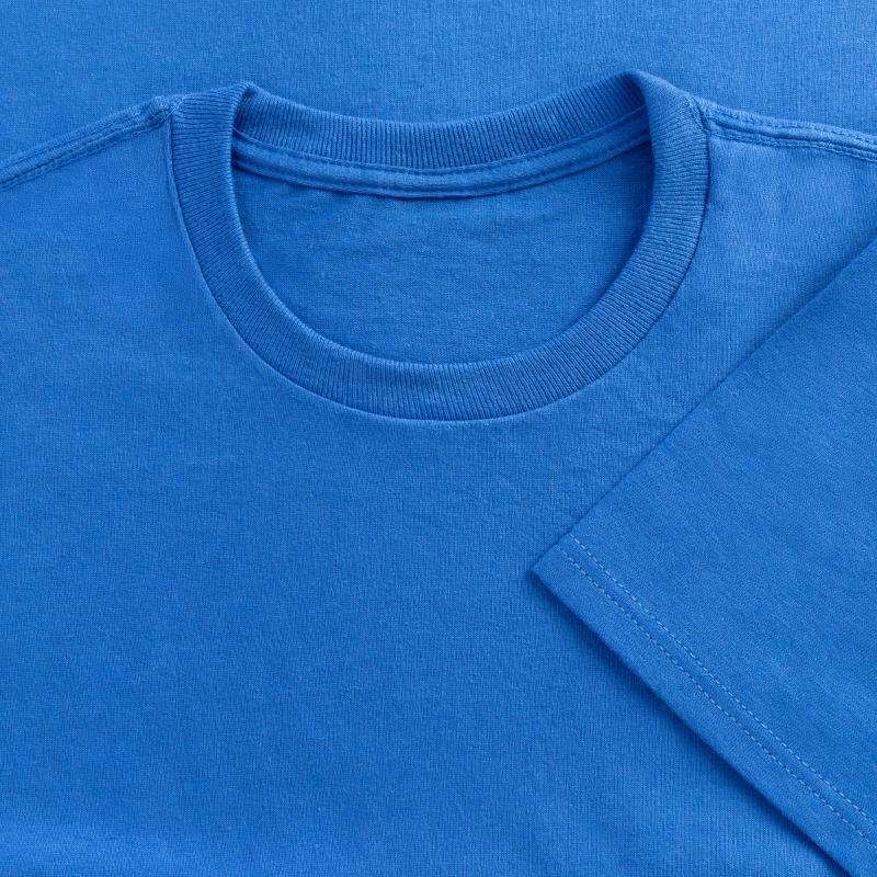 Colorful cool cavalier king charles spaniel dog