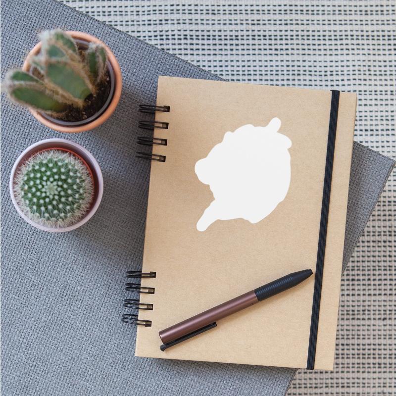 Dragon Mythical Fantasy Serpent