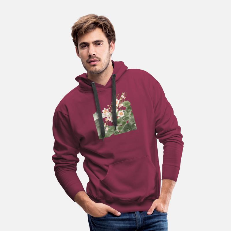 Elegant Lotus and Water Lily Botanical