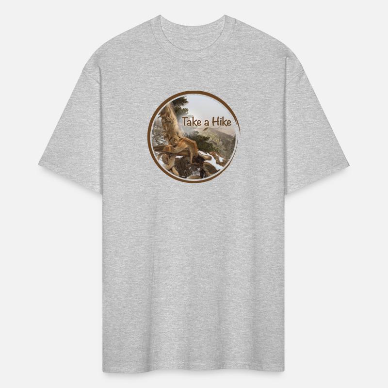 old gnarled tree on Pacific Crest Trail