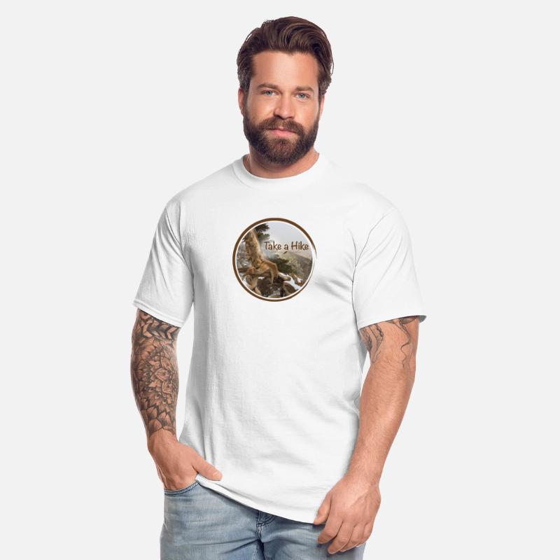 old gnarled tree on Pacific Crest Trail