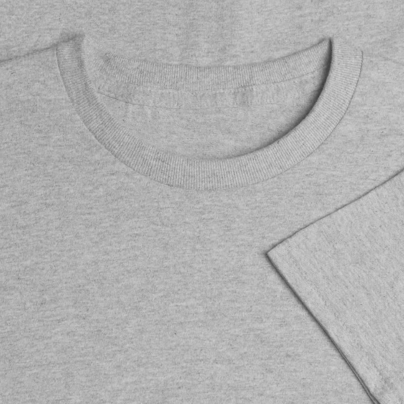 Pembroke Welsh Corgi Dog