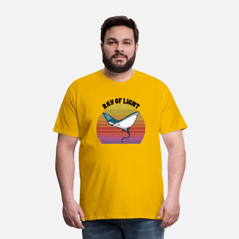 Ray Of Light Stingrays Sea Ocean Nature Underwater