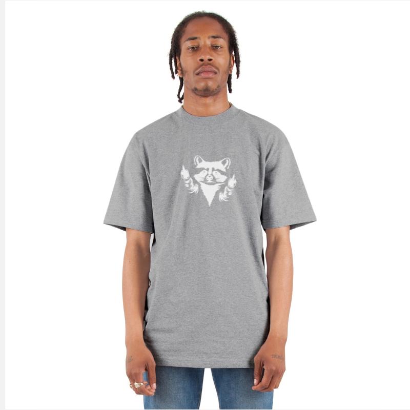 Rebellious Raccoon Expression Art