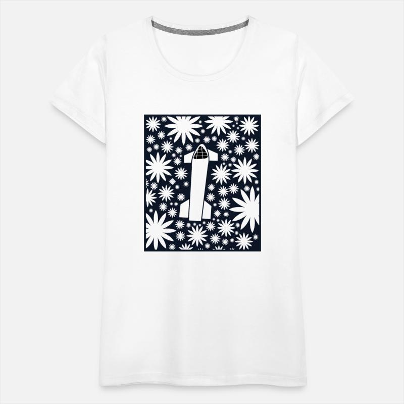 spaceship in the stars