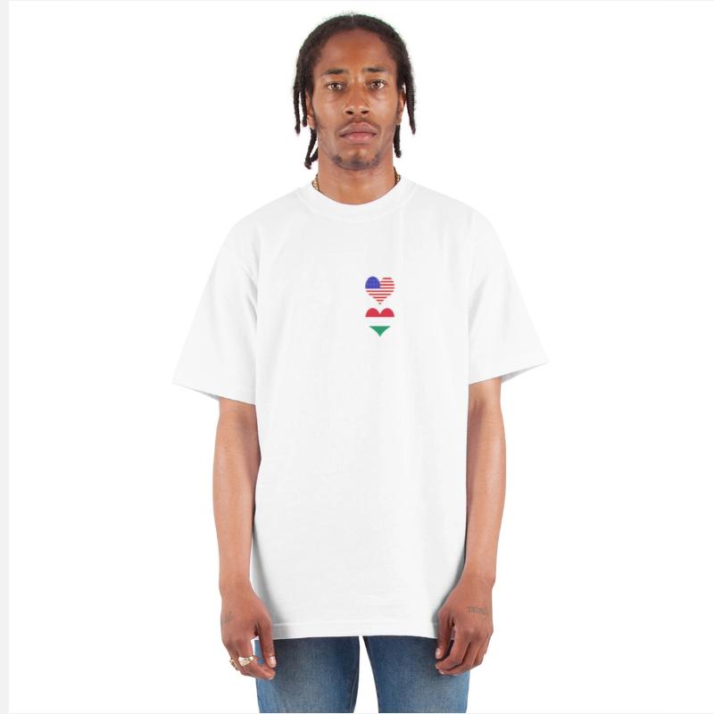 USA and Hungary genius flag design