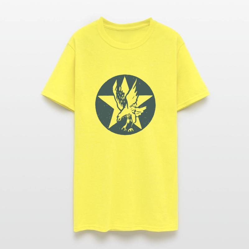 USA Fighting Squadron Insignia