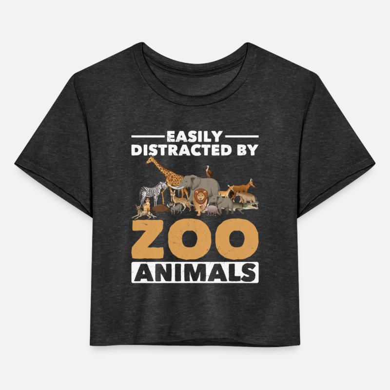 Zoo Animals Giraffe Lion Elephant Zoo